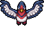 Swellow