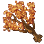 Autumn Tree