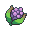 Cornn berry