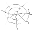 Web