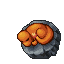 Sleeping Charmander