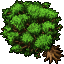Spring Tree