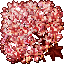 Cherry Tree
