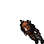 Character sprite