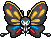 Beautifly