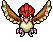Pidgeotto