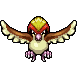 Pidgeot