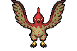 Shiny Talonflame
